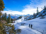 Kashmir Tour Packages - Unveil the Beauty of the Valley with Millions Dollar Trips