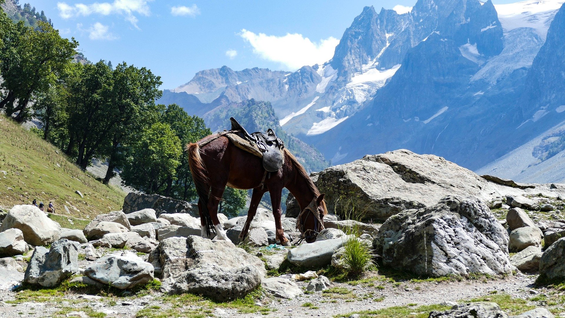 Kashmir Dreamscape: Family Vacation Package