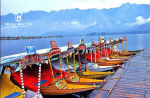 The Beauty Of Kashmir Tourism by Millions Dollar Trips